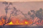 Australia in fiamme. La “Chernobyl della crisi climatica”