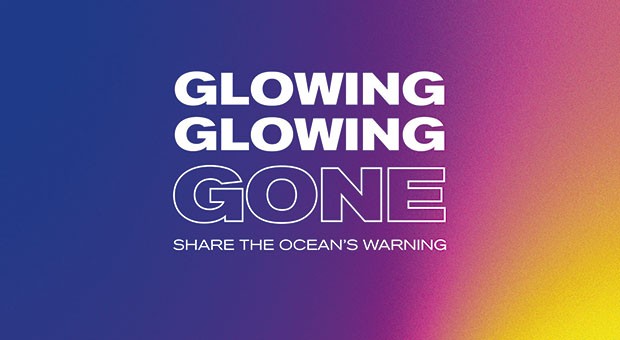 Glowing Gone. I colori perduti dei coralli
