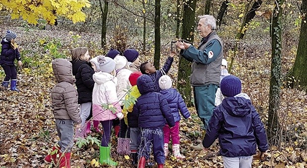Per fare un albero ci vuole... una rete