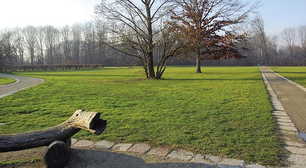 Una città verde, una città sana. Milano, Bosco in Città