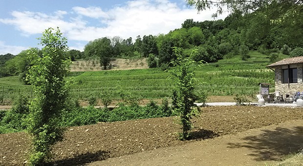 parco biodiversità