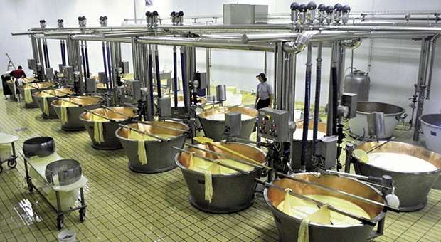 azienda chiapparini