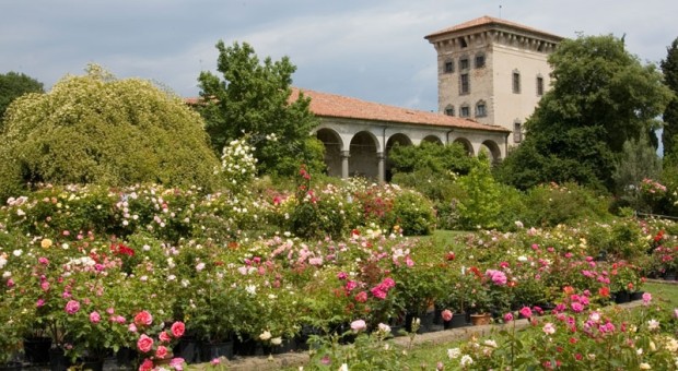 Spezie in castello: un viaggio alla scoperta delle spezie occidentali e d’Oriente