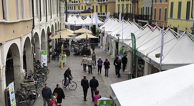 Brescia Green 2017