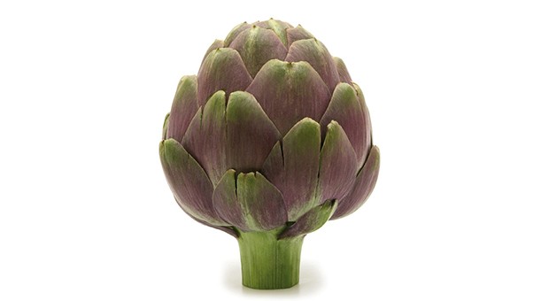 Carciofo 