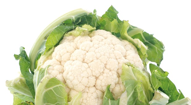 Cavolo