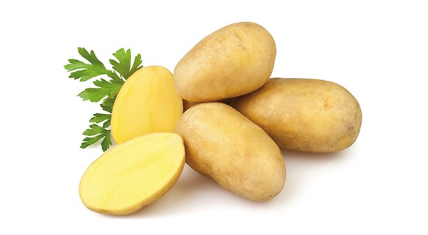 Patata