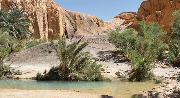 Nel cuore del Sahara alla ricerca del deserto autentico