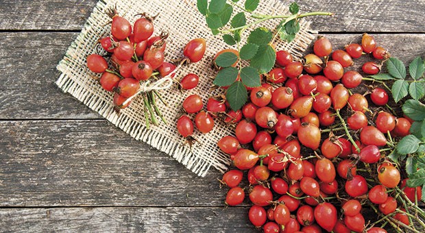 Piccoli frutti dimenticati… Ma dalle mille proprietà