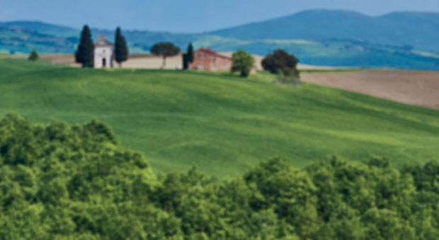 Concedetevi una vacanza intorno a un filo d'erba