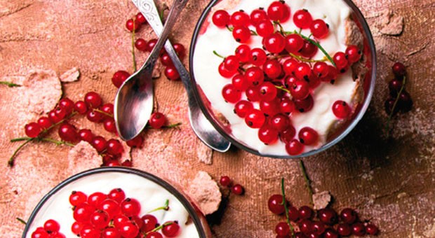 Mousse di ricotta con biscotti e confettura di ribes