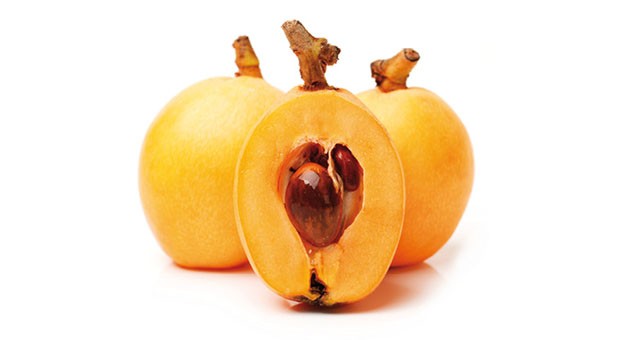 Nespola giapponese