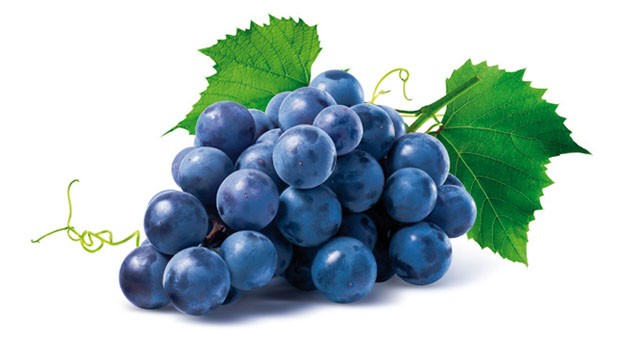 Uva fragola