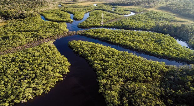 Amazzonia 