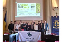 Tree cities of the world