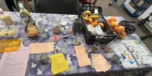 Officina di Merlino 01