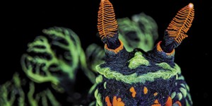 A Milano gli scatti di Wildlife Photographer of the Year