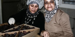 “Energia per resistere” e sostenere gli agricoltori palestinesi