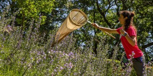 Attività del festival Dirama