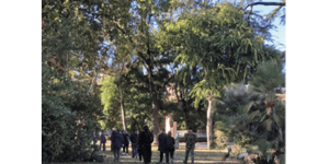 Visita al Bosco del Manzù