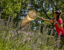 Attività del festival Dirama