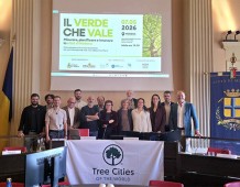 Tree cities of the world