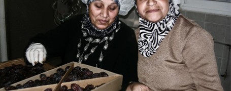 “Energia per resistere” e sostenere gli agricoltori palestinesi