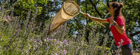 Attività del festival Dirama