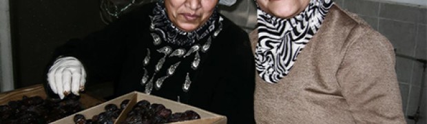 “Energia per resistere” e sostenere gli agricoltori palestinesi