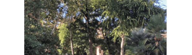 Visita al Bosco del Manzù