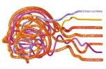 L'informazione linguaggio della realtà