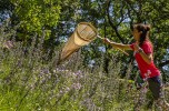 Attività del festival Dirama