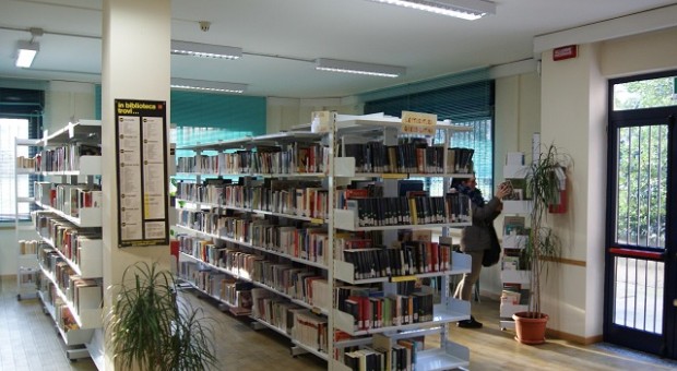 Suq delle culture