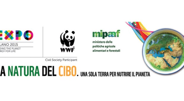 WWF Panda day 