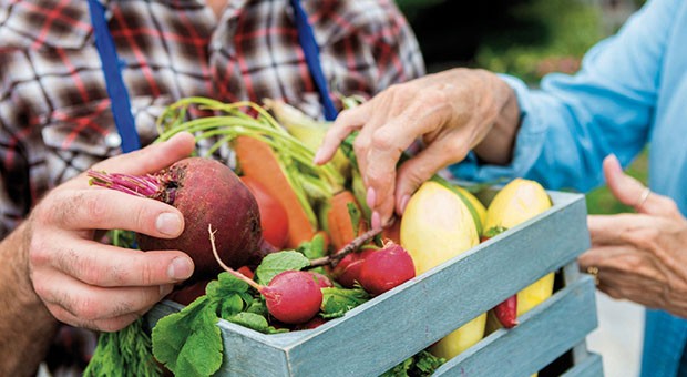 Riparte Bergamo Green