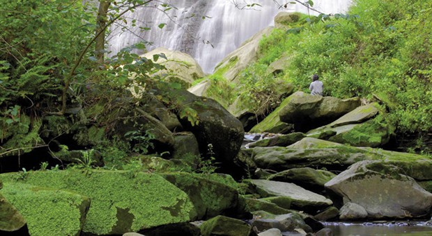 Bergamo ospita STRD2017