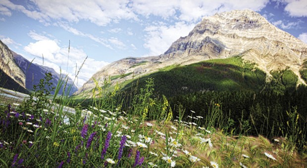 Alture Festival fino al 29 novembre