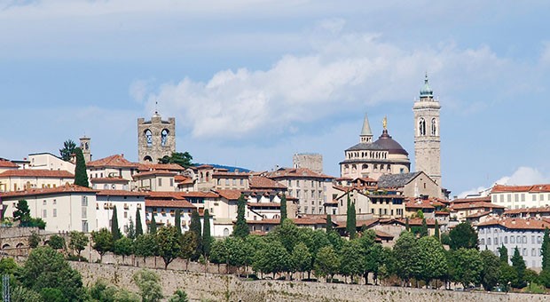 Manutenzione e nuovi alberi. Così Bergamo si fa sempre più bella