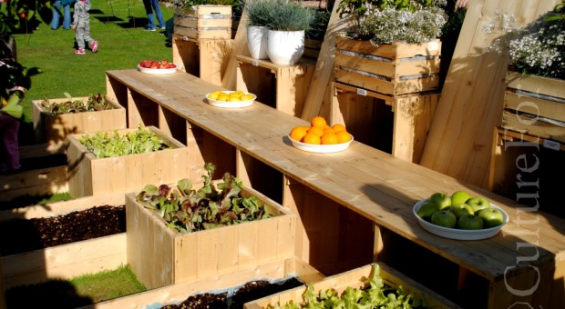 Notizie da Monza e dintorni