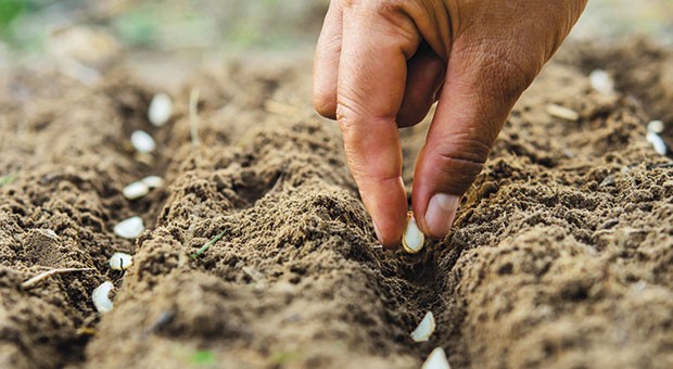 Difesa del biologico e dell’ambiente